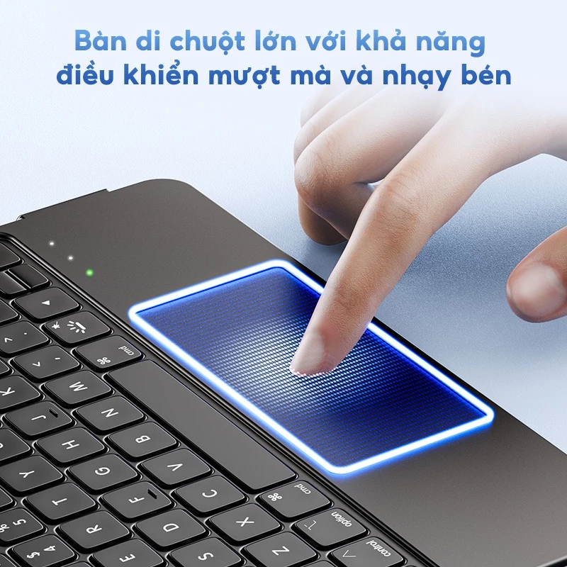 Ảnh 5
