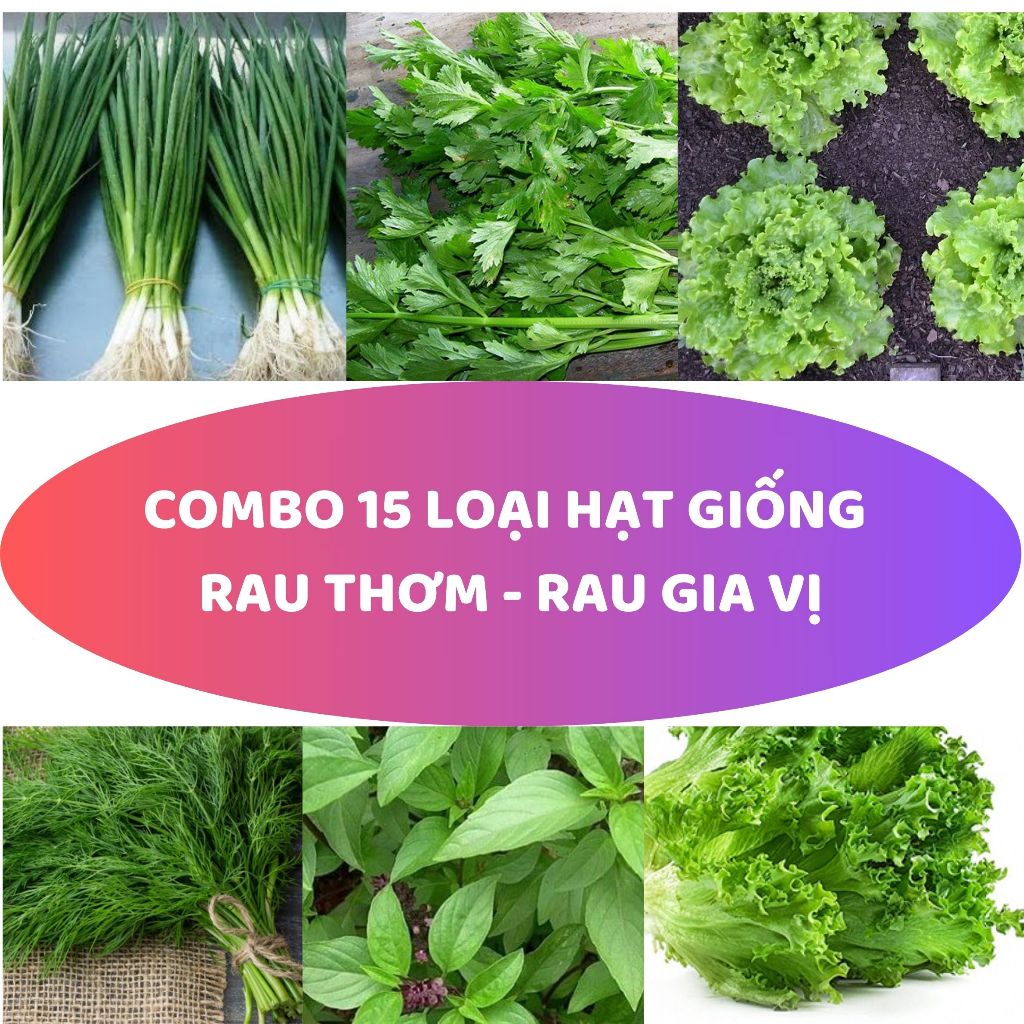 Deal 10K - Combo 15 loại hạt giống rau thơm trồng sân thượng đầy đủ ...