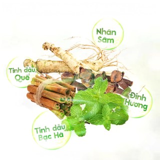 Dầu lăn sâm Nhị Thiên Đường Essential Oil 10ml (01 Chai/02 Chai/03 Chai/04 Chai/05 Chai)