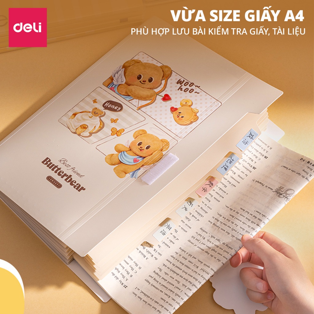 Cặp Túi Đựng Tài Liệu A4 Butterbear Deli 8 Ngăn File Đựng Tài Liệu Hồ Sơ Lưu Trữ Đa Năng Dễ Thương