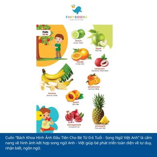 Sách - Bách Khoa Hình Ảnh Đầu Tiên Cho Bé - Đại Mai Books