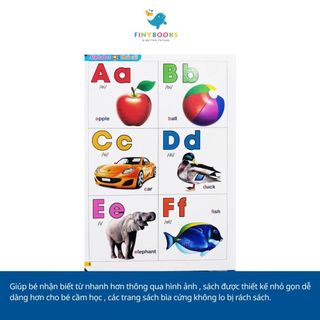 Sách - Bách khoa bằng hình đầu tiên cho bé theo chủ đề bộ 5 cuốn - song ngữ Anh Việt (Lẻ) - Đại Mai Books