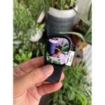 Đồng Hồ Thông Minh Lắp Sim S9/S10 Ultra 5G [Gen 5] Nhắn Tin, Định Vị GPS, Lướt Web, Chơi Game, Tải Ứng Dung_TXStoree — ảnh 4
