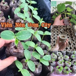 50 Viên Nén Ươm Hạt Giống❤️ Tiện lợi, Rất Dễ Sử Dụng