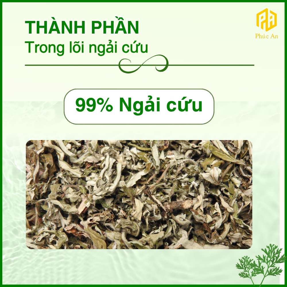 [PHÚC AN] Combo 2 Thảm điện ngải cứu đông y, Giảm đau nhức cơ thể, Hỗ trợ giúp giấc ngủ ngon