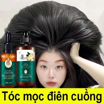 dầu gội mọc tóc Làm dày tóc dầu gội đầu dầu gội chống rụng nuôi dưỡng tóc dầu gội gừng tươi dầu gội loại dưỡng tóc 500ml