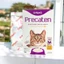 Sữa bột cho mèo Precaten Dr.Kyan