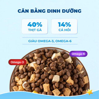 Hạt MR VET T2 Thức Ăn Hạt Khô MRVET T2 Gói 1KG Tăng Cường Omega 3 Chăm Da Dưỡng Lông Cho Mèo Mọi Lứa Tuổi