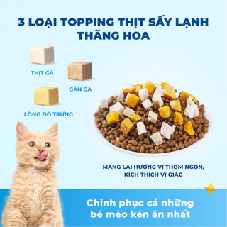 Hạt MR VET T2 Thức Ăn Hạt Khô MRVET T2 Gói 1KG Tăng Cường Omega 3 Chăm Da Dưỡng Lông Cho Mèo Mọi Lứa Tuổi