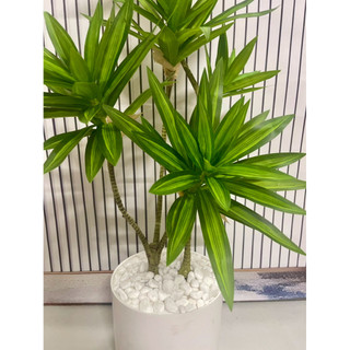 cây thuỷ trúc nhân tạo cao 90cm. cây giả trang trí nhà cửa và nơi làm việc