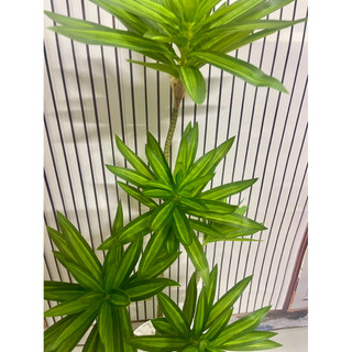 cây thuỷ trúc nhân tạo cao 90cm. cây giả trang trí nhà cửa và nơi làm việc