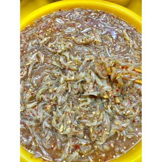 500g Mắm Cá Cơm Trộn Sẵn Gia Vị Nguyên Con Chính Hiệu Đậm Vị Thơm Ngon Đặc Biệt | Cô Giáo Thảo 4444 Ngọc Tú