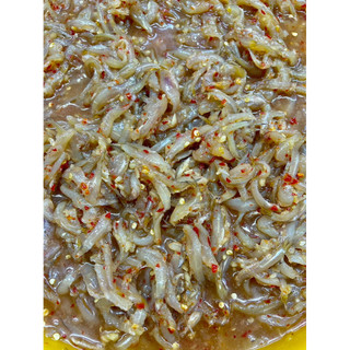 500g Mắm Cá Cơm Trộn Sẵn Gia Vị Nguyên Con Chính Hiệu Đậm Vị Thơm Ngon Đặc Biệt | Cô Giáo Thảo 4444 Ngọc Tú