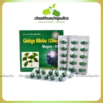 Viên Uống Hoạt Huyết Ginkgo Biloba 120mg Thanh Hằng – Bổ Não, Tăng Tuần Hoàn Máu, Giảm Đau Đầu, Hoa Mắt, Chóng Mặt 100v
