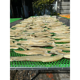 KHÔ CÁ DỨA CỌNG GÓI 500G( tặng kèm 1 mắm me)