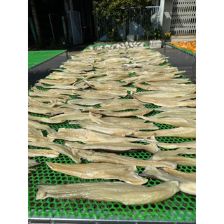KHÔ CÁ DỨA CỌNG GÓI 500G( tặng kèm 1 mắm me)