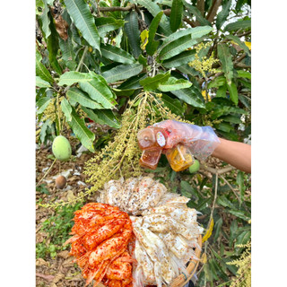 COMBO 1KG ỨC CÁ DỨA 3 VỊ