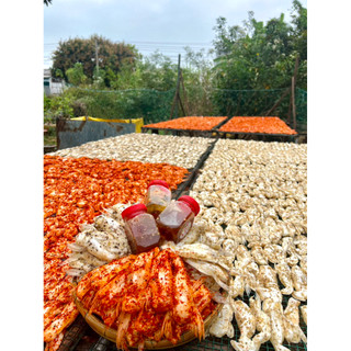 COMBO 1KG ỨC CÁ DỨA 3 VỊ