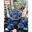 Gấu bông stitch xanh mặc áo khoác yếm bò cute dễ thương, Stitch nhập khẩu lông dài cao cấp mẫu mới, Bobesu