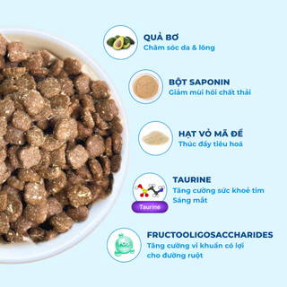 Hạt MR VET T3 Thức Ăn Khô Dạng Hạt MrVet Gói 1KG Cải Thiện Sức Khoẻ Đường Tiết Niệu Cho Mèo