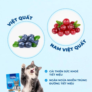 Hạt MR VET G1 Thức Ăn Dạng Hạt MrVet Cho Mèo Gói 1kg hương cá ngừ không chứa ngũ cốc mix topping thịt sấy