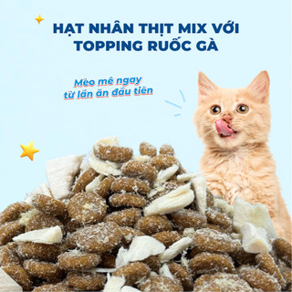 Hạt MR VET T3 Thức Ăn Khô Dạng Hạt MrVet Gói 1KG Cải Thiện Sức Khoẻ Đường Tiết Niệu Cho Mèo