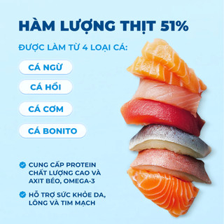 Hạt MR VET T3 Thức Ăn Khô Dạng Hạt MrVet Gói 1KG Cải Thiện Sức Khoẻ Đường Tiết Niệu Cho Mèo