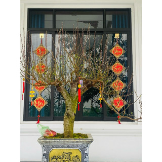 CẶP CHỮ GỖ DECOR TREO TẾT SIZE ĐẠI