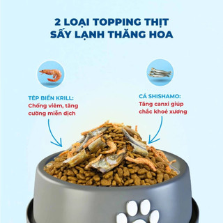 Hạt MR VET T4  Thức Ăn Cho Mèo Dạng Hạt MrVet Gói 1KG Giảm Mùi Hôi Chất Thải Dành Cho Mèo Nuôi Trong Nhà