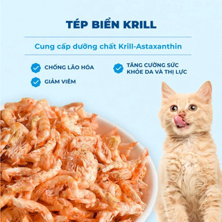 Hạt MR VET T4  Thức Ăn Cho Mèo Dạng Hạt MrVet Gói 1KG Giảm Mùi Hôi Chất Thải Dành Cho Mèo Nuôi Trong Nhà