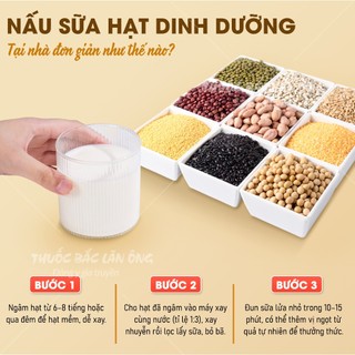 Tổng hợp 25 loại hạt nấu sữa, hạt dinh dưỡng làm sữa tự nhiên, đậu hạt hữu cơ tùy chọn