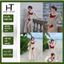 Bikini đồ bơi đi biển set BÔNG ĐỎ + CHOÀNG có mút phối khoác ren bèo sang chảnh HAN.T SHOP