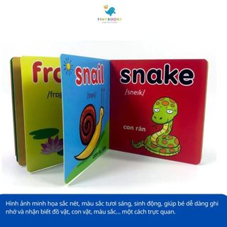 Sách - Bộ Hộp Thư Viện Hình Ảnh Đầu Tiên cho bé 0 - 6 tuổi - MY FIRST PICTURE ENCYCLOPEDIA - Đại Mai Books