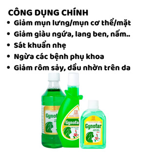 [CHÍNH HÃNG] Dung dịch vệ sinh phụ nữ / Nước rửa phụ khoa Gynofar (PHARMEDIC)