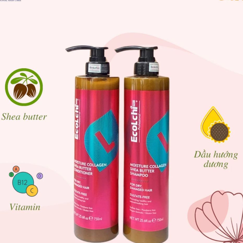 Cặp Dầu Gội Xả Ecolchi Shea Butter 750ml | Dưỡng Tóc Mềm Mượt, Cấp Ẩm Cho Tóc Khô Xơ
