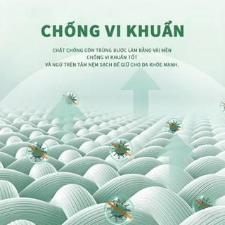 Nệm KADE Sping Mattress cao 20cm lò xo liên kết giúp nâng đỡ, 2 tầng Foam êm ái như nằm khách sạn