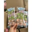 set 6 Bút Xóa Băng Mini Hoạt Hình Dễ Thương – Gọn Nhẹ, Tiện Dụng