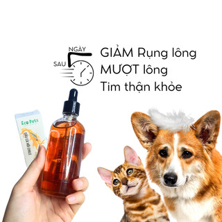 Dầu Cá Hồi CHILE Ecopets 100ml – Bí Quyết Sức Khoẻ, Giảm Rụng & Đẹp Lông Cho Chó Mèo