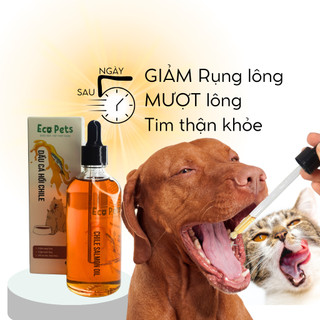 Dầu Cá Hồi CHILE Ecopets 100ml – Bí Quyết Sức Khoẻ, Giảm Rụng & Đẹp Lông Cho Chó Mèo