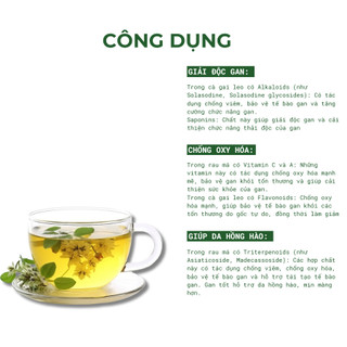 [MÁT GAN] Combo 3 Hộp Trà Cà Gai Leo Rau Má - Tốt Cho Gan, Đẹp Da - Tiệm Trà Việt - 90 gói
