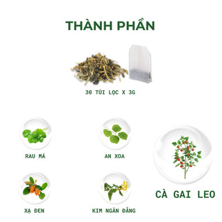 [MÁT GAN] Combo 3 Hộp Trà Cà Gai Leo Rau Má - Tốt Cho Gan, Đẹp Da - Tiệm Trà Việt - 90 gói