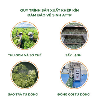 [MÁT GAN] Combo 3 Hộp Trà Cà Gai Leo Rau Má - Tốt Cho Gan, Đẹp Da - Tiệm Trà Việt - 90 gói