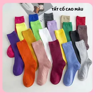 Tất vớ cổ cao chun nhún loại thường nam nữ cotton kháng khuẩn thời trang hàn quốc giá rẻ MOHALI VC109