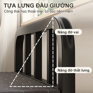 Panda Giường gấp thương hiệu Panda phù hợp cho văn phòng và căn hộ cho thuê Thiết kế gấp hai phần