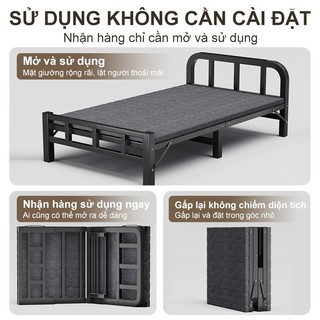 Panda Giường gấp thương hiệu Panda phù hợp cho văn phòng và căn hộ cho thuê Thiết kế gấp hai phần