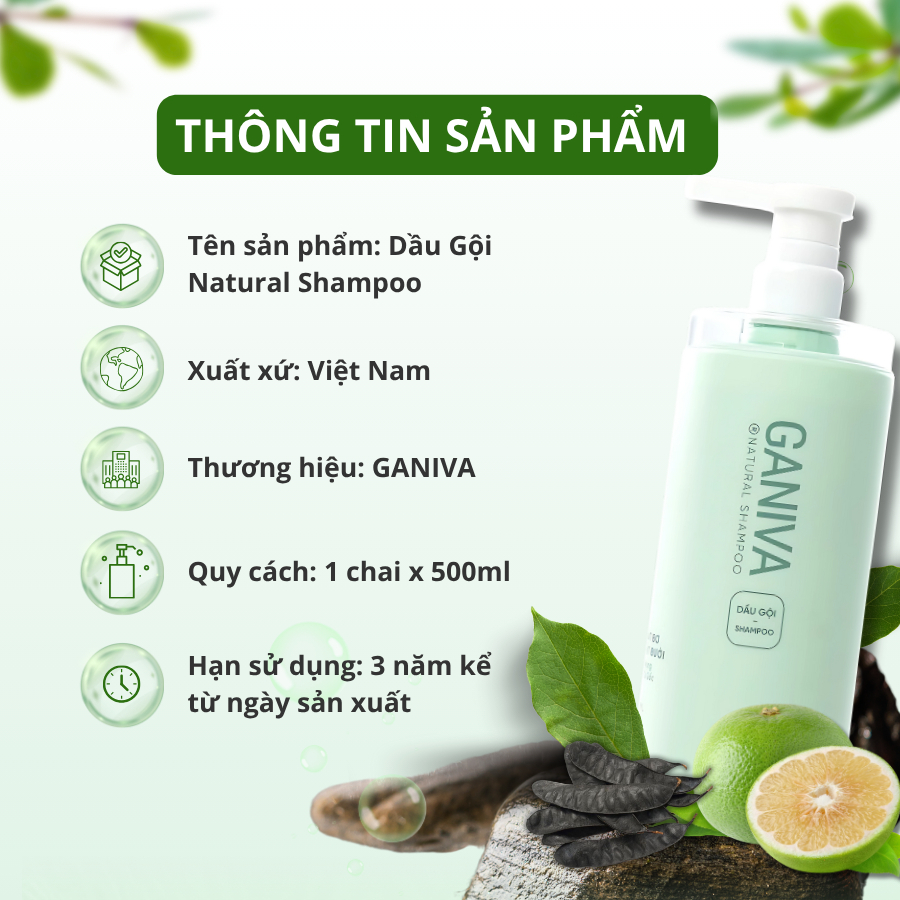 Sử Dụng Chai Dầu Gội Bưởi Mọc Tóc Trong Đời Sống