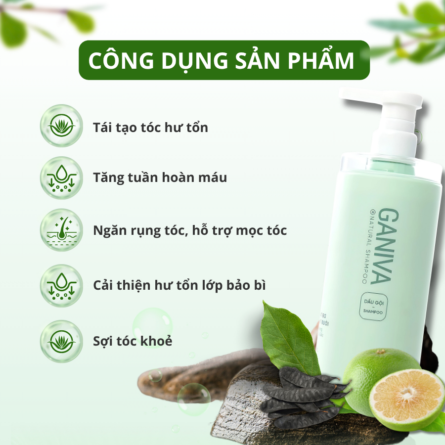 Sản Phẩm Dầu Gội Bưởi Mọc Tóc - Dầu Gội Bưởi Mọc Tóc