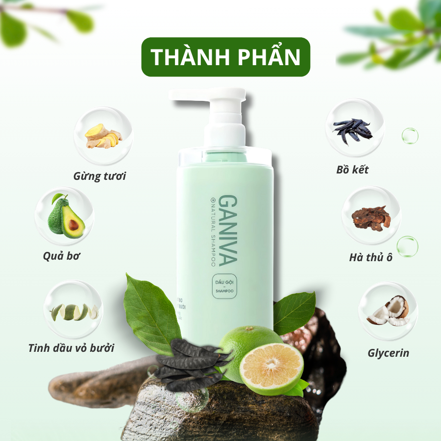 Thiết Kế Của Dầu Gội Bưởi Mọc Tócao Cấp