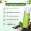 Xịt Mọc Tóc Ganiva Collagen Thủy Phân Xịt Dưỡng Tóc Tinh Dầu Bưởi Chống Rụng Kích Thích Mọc Tóc