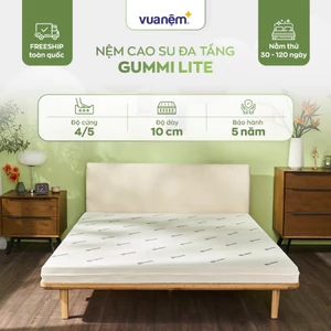 Nệm Cao Su Foam Giảm Đau Lưng, Chữa Lành Gummi Lite 10cm